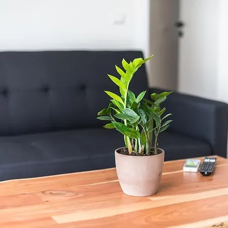 Apartment Zen-calm, Pagrati *